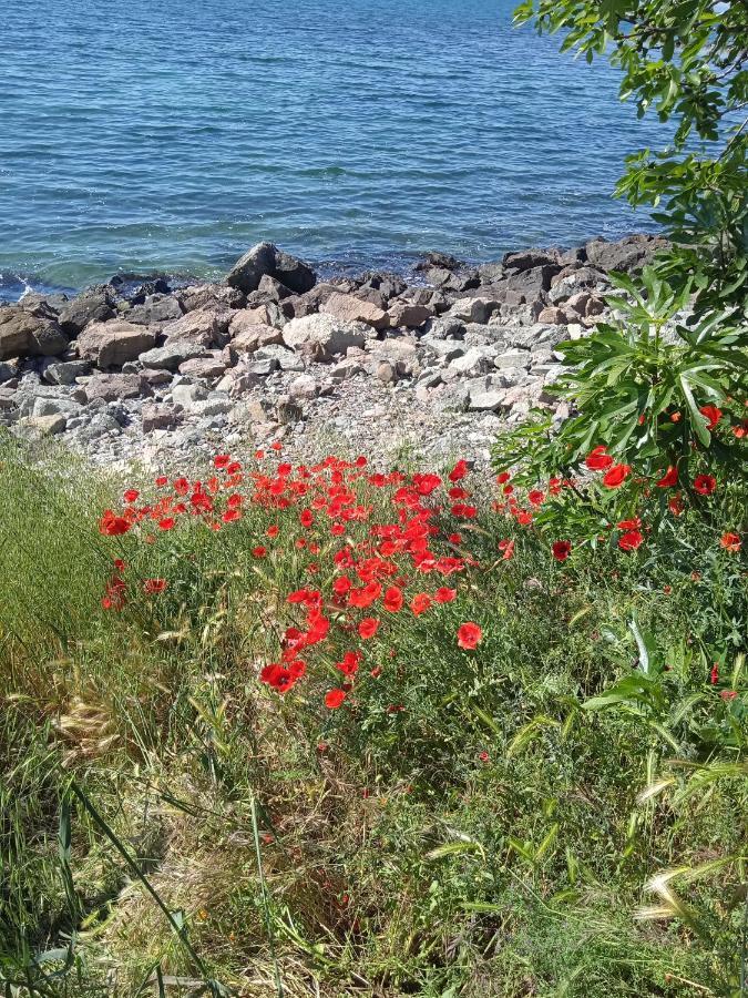 Nessebar, South Beach, Larisa, Studio Εξωτερικό φωτογραφία